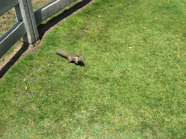 617x456 pixels (205K)